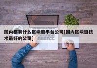 国内都有什么区块链平台公司[国内区块链技术最好的公司]